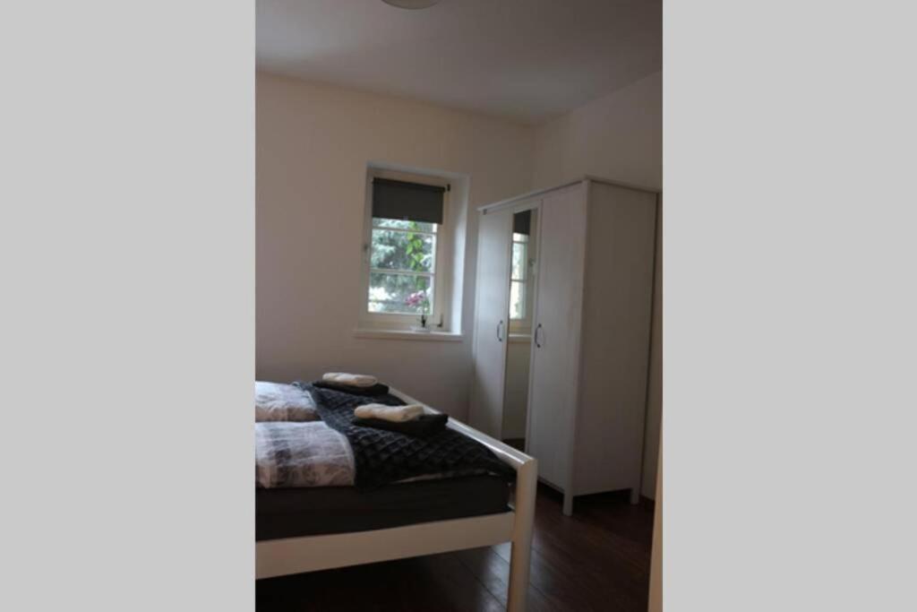 Apartamento Zentralgelegene 4-raum Bis 8 Pers. Dresde